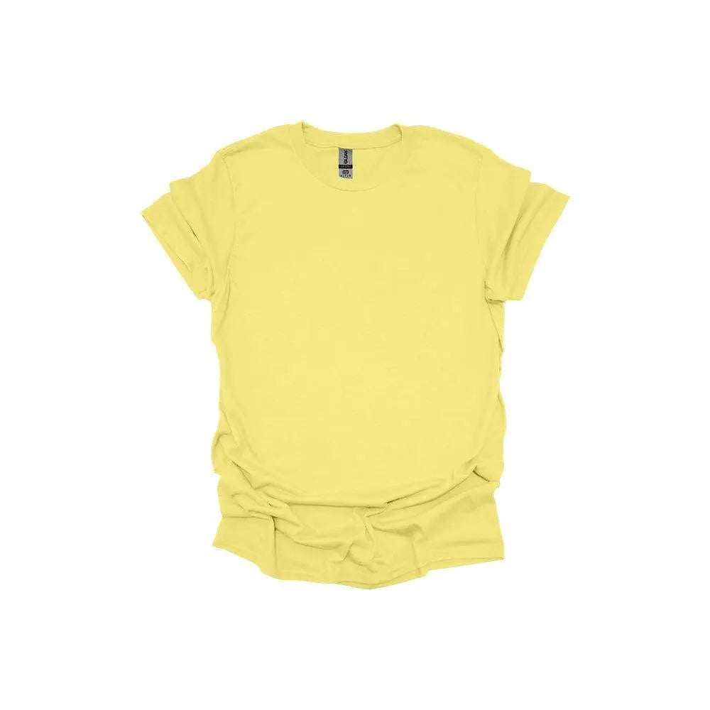Gildan 64000 Softstyle Adult T-Shirt PLUS SIZE