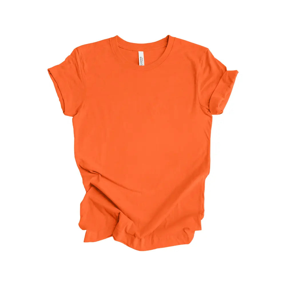 Bella+Canvas 3001 CV & CVC Unisex Jersey Short Sleeve Tee PLUS SIZE