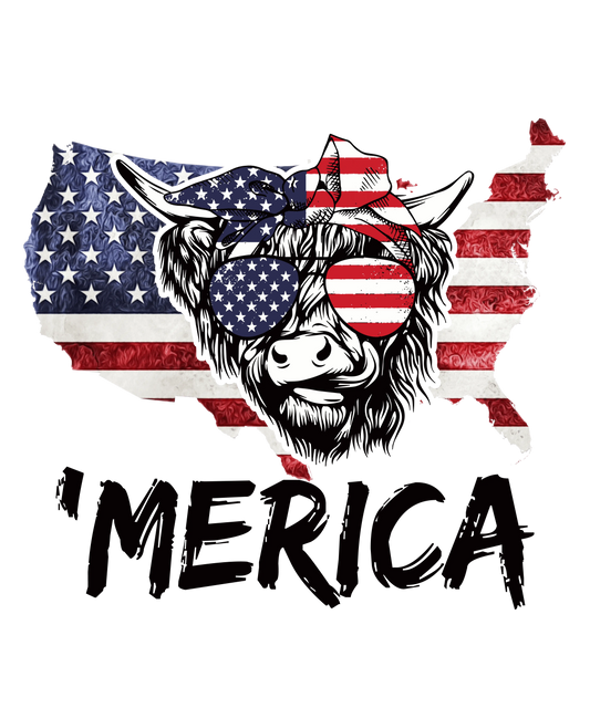 Merica 4th Of July Design - DTF Ready To Press
