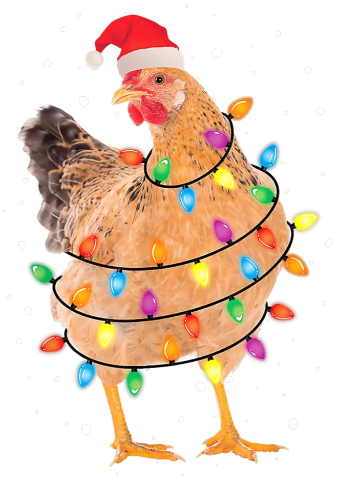 Christmas Chicken Design - DTF Ready To Press