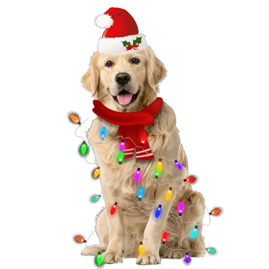 Christmas Golden Retriever Design - DTF Ready To Press