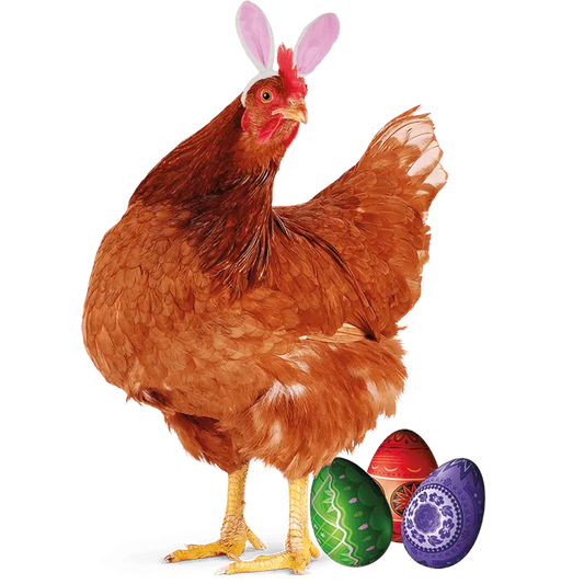 Cockerel Easter Design - DTF Ready To Press
